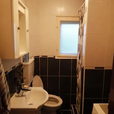 Nebojša 鲁德尼克