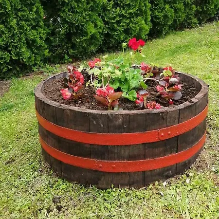 Nebojsa アパート