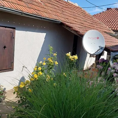 Апартаменты Nebojsa