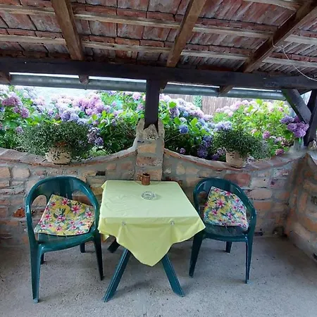 Апартаменты Nebojsa *