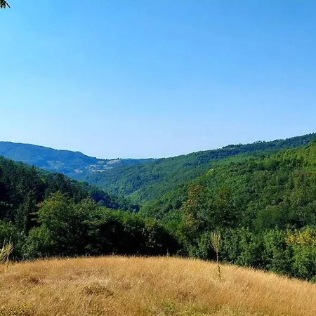 Nebojsa Рудник